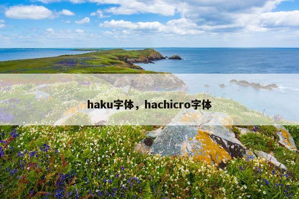haku字体，hachicro字体