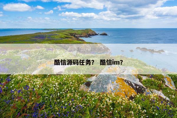 酷信源码任务？ 酷信im？