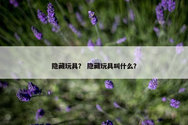 隐藏玩具？ 隐藏玩具叫什么？