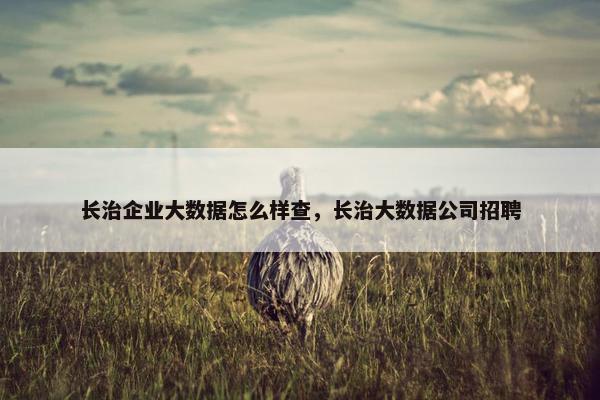 长治企业大数据怎么样查，长治大数据公司招聘