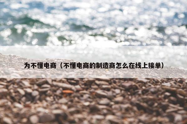 为不懂电商（不懂电商的制造商怎么在线上接单）