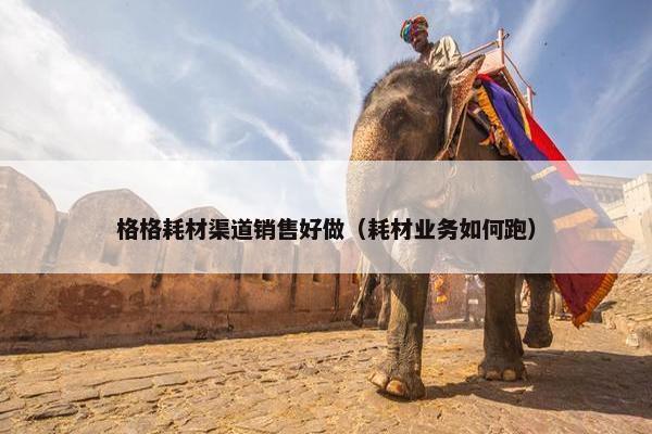 格格耗材渠道销售好做（耗材业务如何跑）