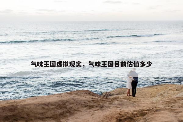 气味王国虚拟现实，气味王国目前估值多少