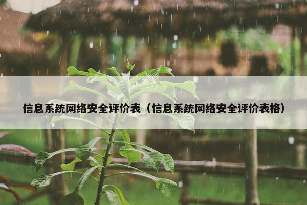 信息系统网络安全评价表（信息系统网络安全评价表格）