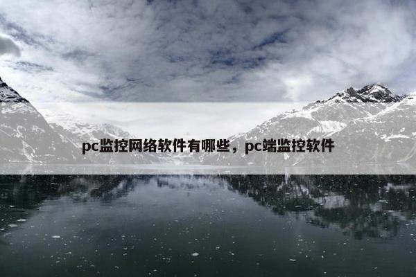 pc监控网络软件有哪些，pc端监控软件