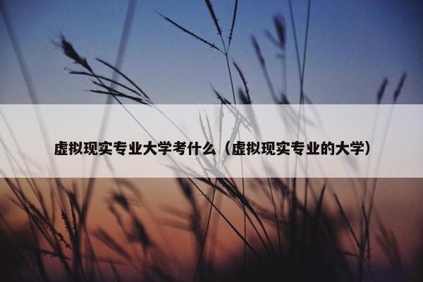 虚拟现实专业大学考什么（虚拟现实专业的大学）