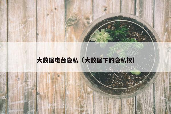 大数据电台隐私（大数据下的隐私权）
