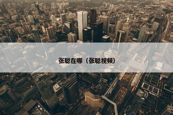 张聪在哪（张聪视频）