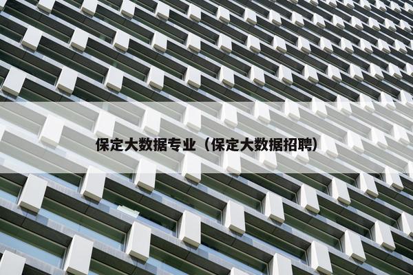 保定大数据专业（保定大数据招聘）