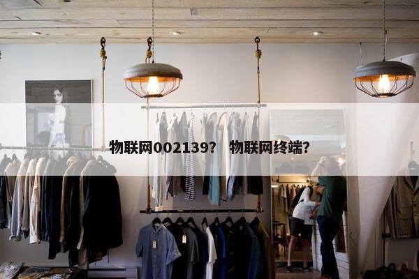 物联网002139？ 物联网终端？