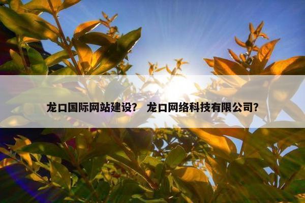 龙口国际网站建设？ 龙口网络科技有限公司？