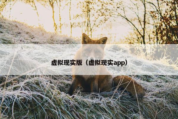 虚拟现实版（虚拟现实app）