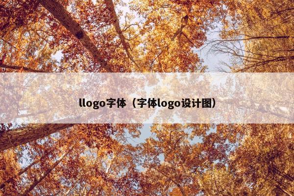 llogo字体（字体logo设计图）