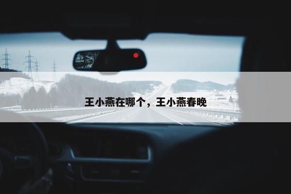 王小燕在哪个，王小燕春晚