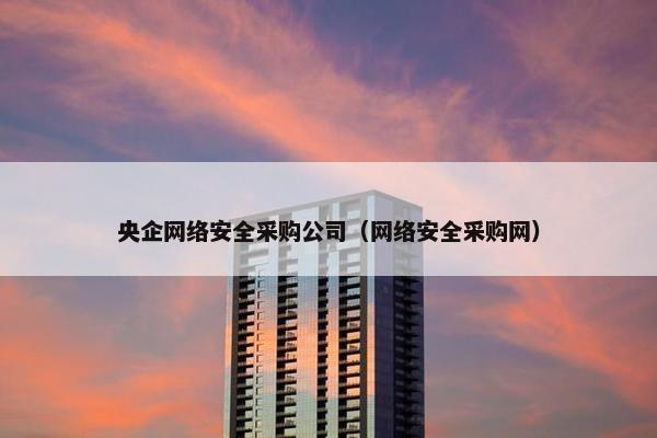 央企网络安全采购公司（网络安全采购网）