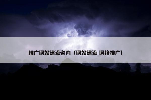 推广网站建设咨询（网站建设 网络推广）