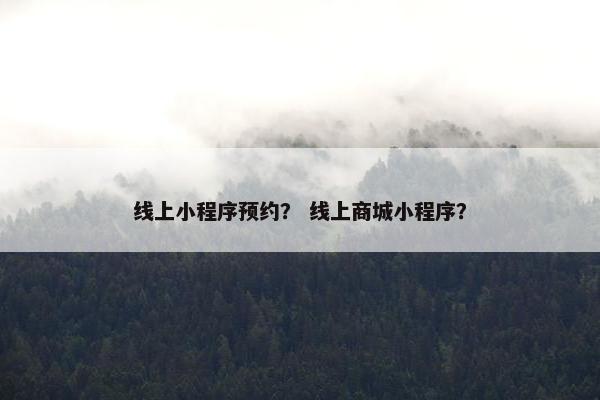 线上小程序预约？ 线上商城小程序？