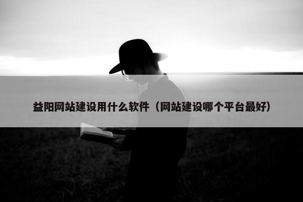 益阳网站建设用什么软件（网站建设哪个平台最好）