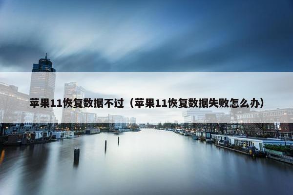 苹果11恢复数据不过（苹果11恢复数据失败怎么办）