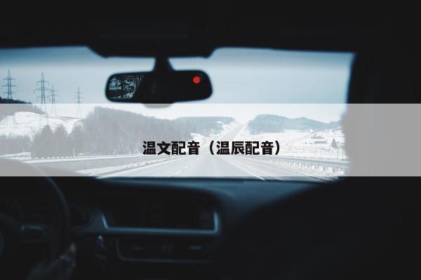 温文配音（温辰配音）
