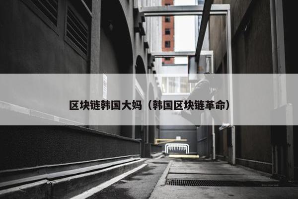 区块链韩国大妈（韩国区块链革命）
