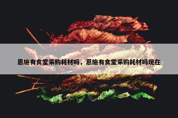 恩施有食堂采购耗材吗，恩施有食堂采购耗材吗现在