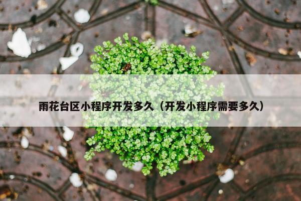 雨花台区小程序开发多久（开发小程序需要多久）