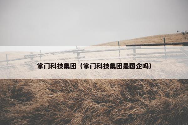 掌门科技集团（掌门科技集团是国企吗）