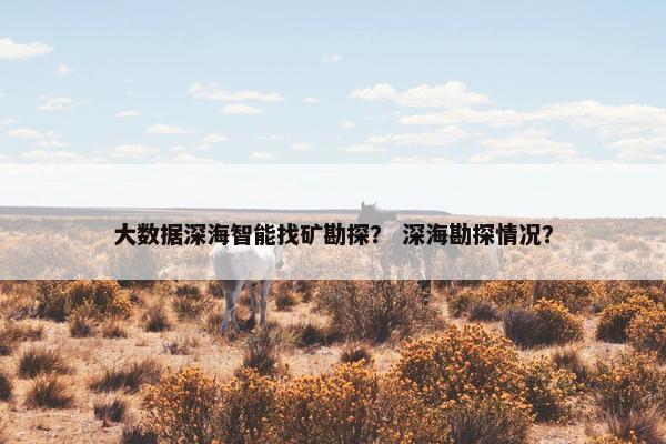 大数据深海智能找矿勘探？ 深海勘探情况？