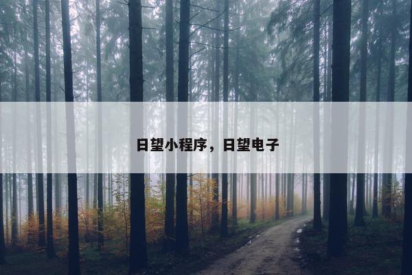 日望小程序，日望电子