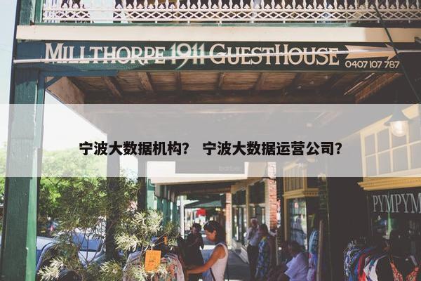 宁波大数据机构？ 宁波大数据运营公司？