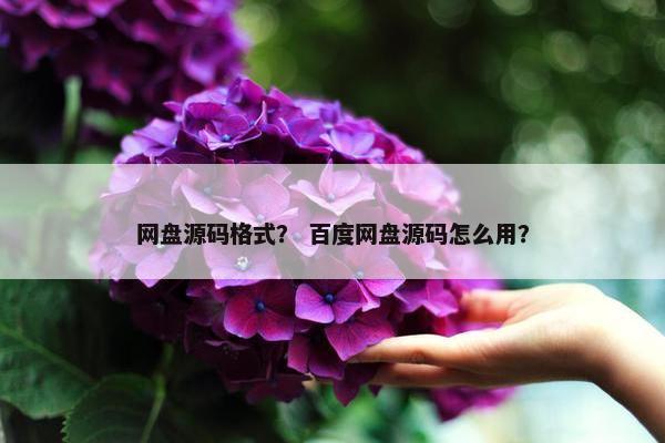网盘源码格式？ 百度网盘源码怎么用？