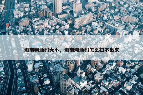 海南朔源码大小，海南溯源码怎么扫不出来