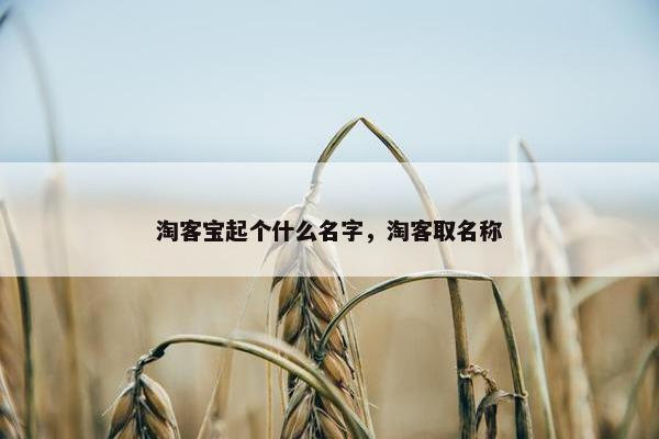 淘客宝起个什么名字，淘客取名称