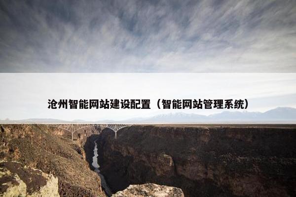 沧州智能网站建设配置（智能网站管理系统）