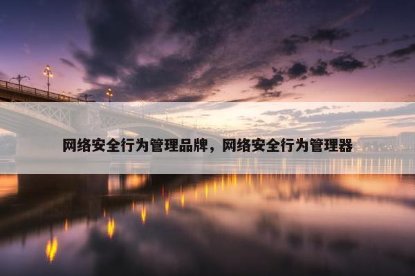 网络安全行为管理品牌，网络安全行为管理器