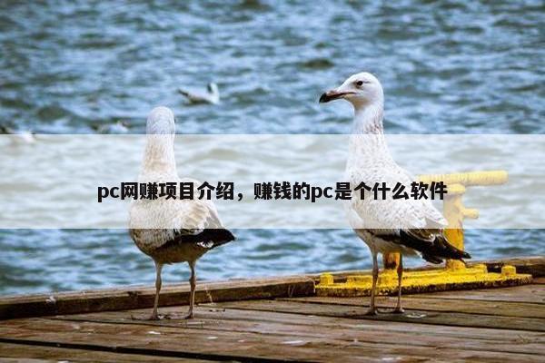 pc网赚项目介绍，赚钱的pc是个什么软件