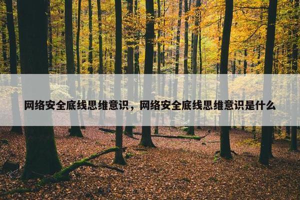 网络安全底线思维意识，网络安全底线思维意识是什么