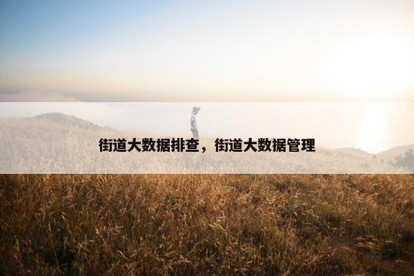 街道大数据排查，街道大数据管理