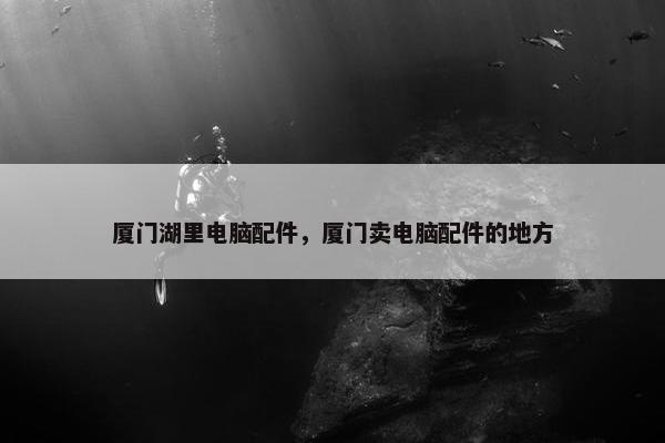 厦门湖里电脑配件，厦门卖电脑配件的地方