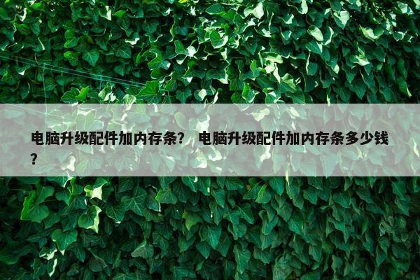 电脑升级配件加内存条？ 电脑升级配件加内存条多少钱？