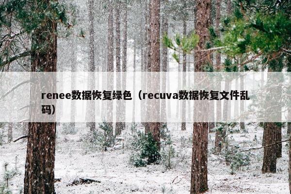 renee数据恢复绿色（recuva数据恢复文件乱码）