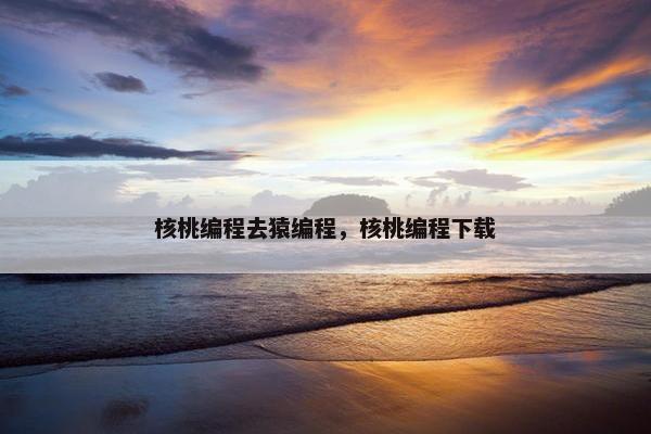 核桃编程去猿编程，核桃编程下载
