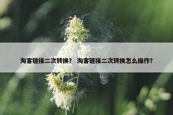 淘客链接二次转换？ 淘客链接二次转换怎么操作？