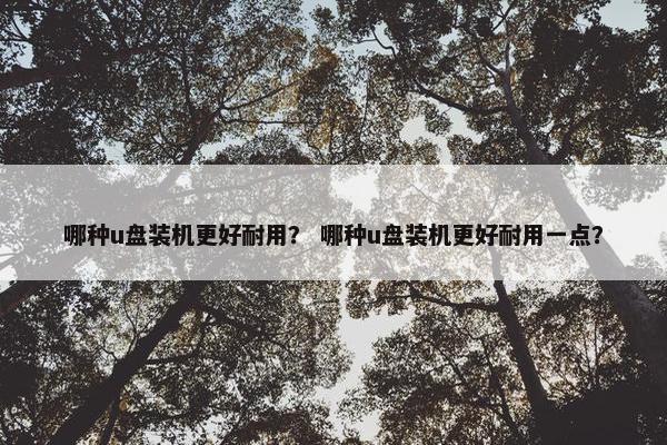 哪种u盘装机更好耐用？ 哪种u盘装机更好耐用一点？