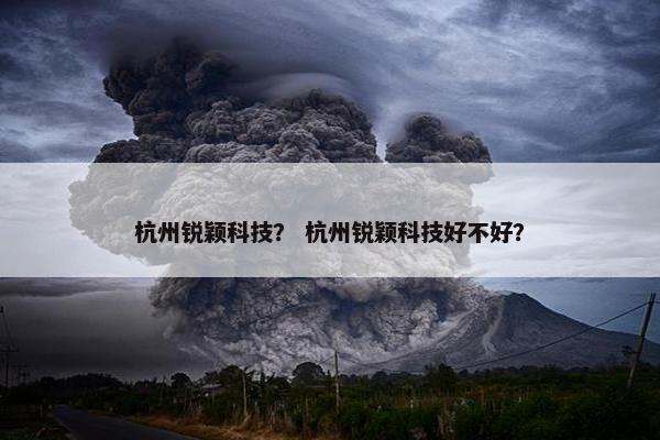 杭州锐颖科技？ 杭州锐颖科技好不好？