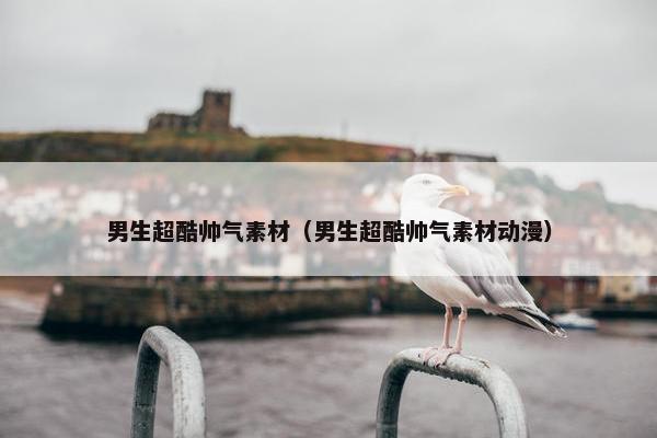 男生超酷帅气素材（男生超酷帅气素材动漫）
