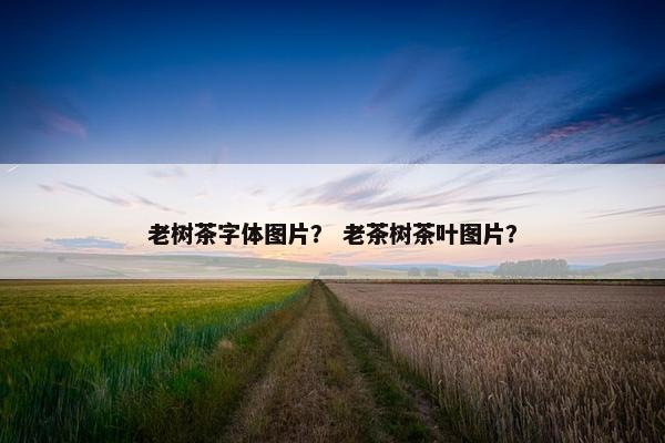 老树茶字体图片？ 老茶树茶叶图片？