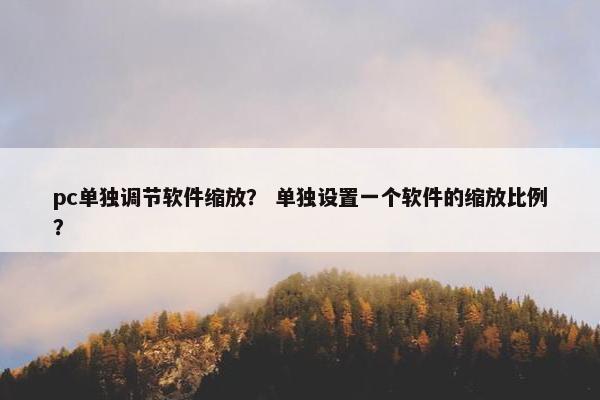 pc单独调节软件缩放？ 单独设置一个软件的缩放比例？