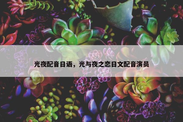 光夜配音日语，光与夜之恋日文配音演员